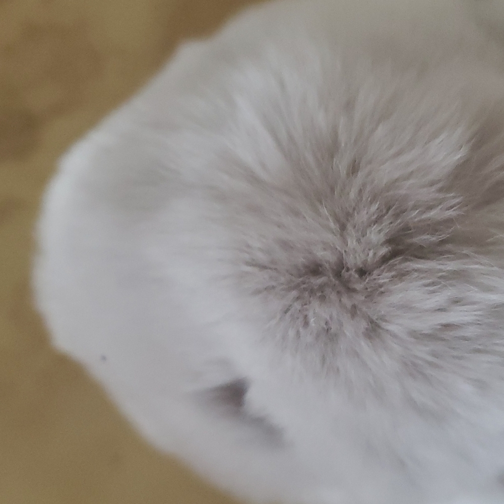 Silver Grey Rabbit Fur Keychain nwot - Picture 3 of 6